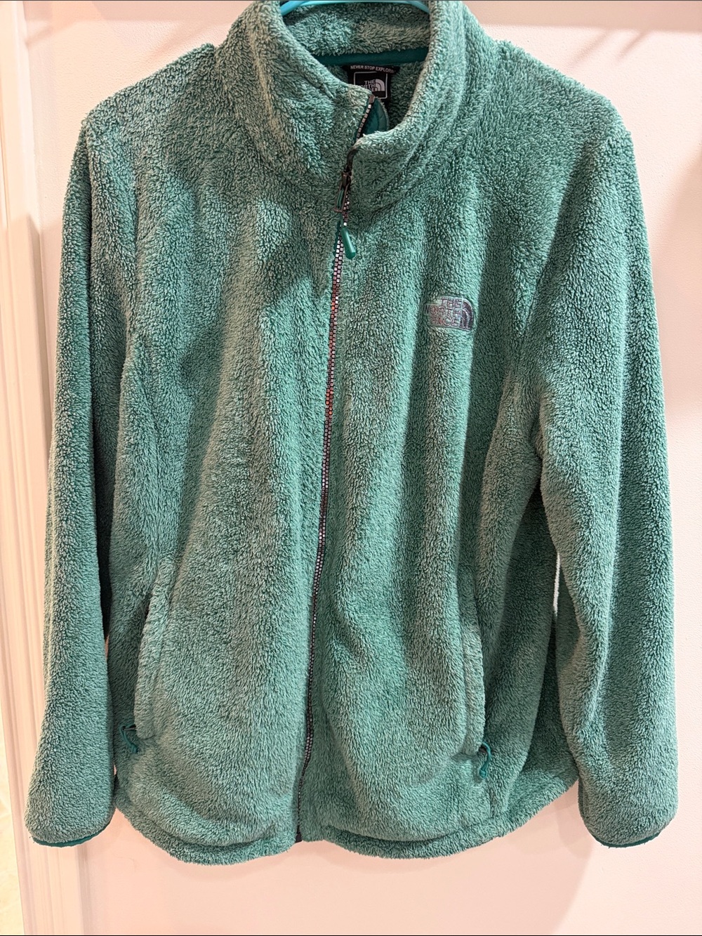 The North Face Women's Teal Teddy Fleece Full-Zip Jacket